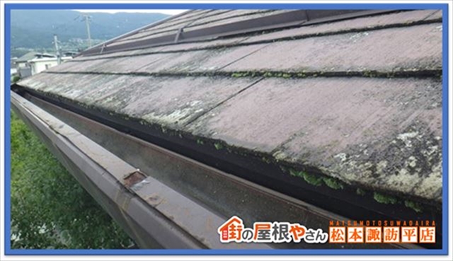 諏訪市現地調査