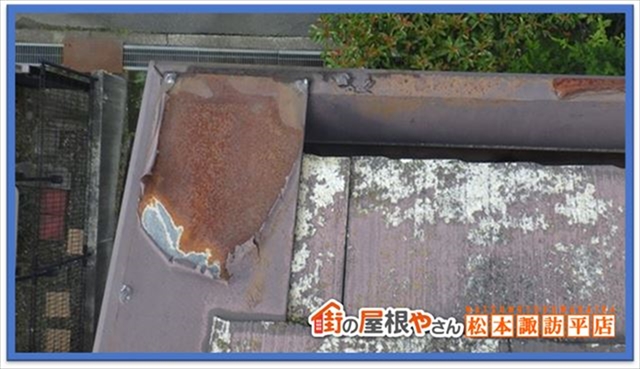 諏訪市現地調査