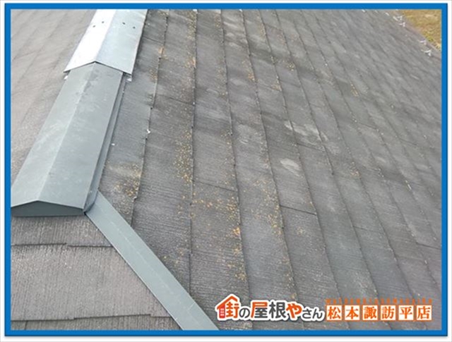 諏訪市現地調査