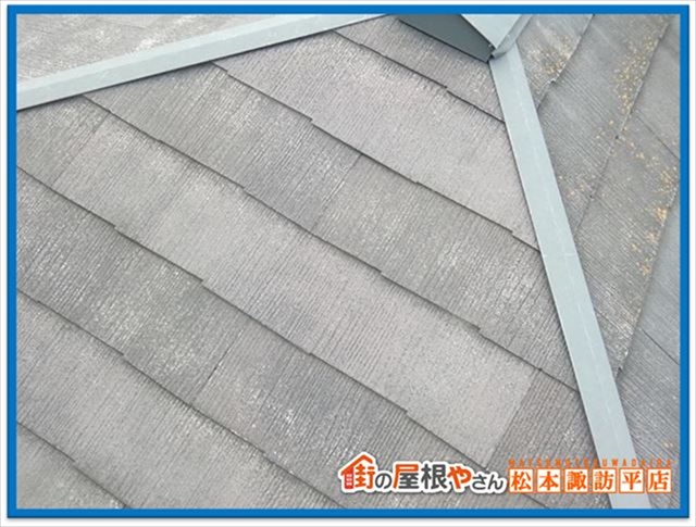 諏訪市現地調査