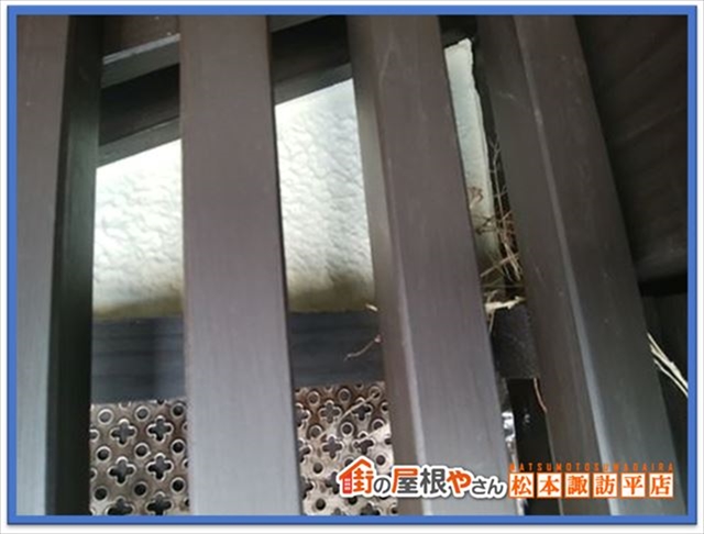 諏訪市防鳥ネット