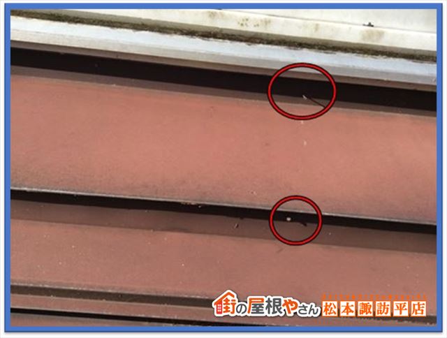 諏訪郡原村別荘雨漏り現地調査