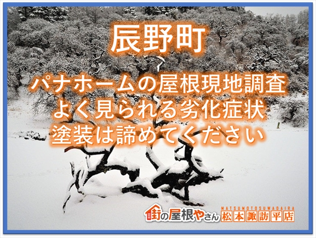 辰野町現地調査