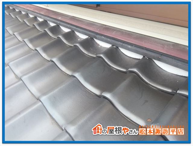 築北村現地調査