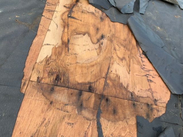 雨漏り修理 野地板補修