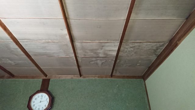 雨漏れ 天井の様子