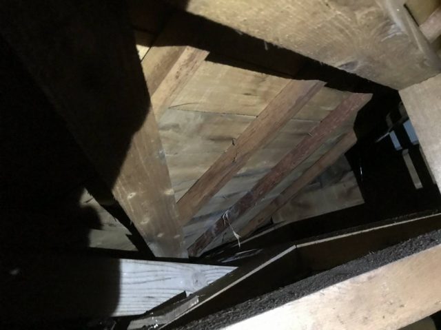 雨漏れ屋根裏写真