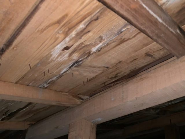 雨漏り 現調写真