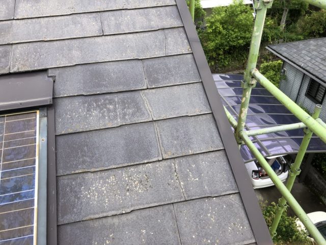 コロニアルのひび割れの様子