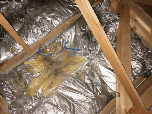 雨漏れ屋根裏の様子