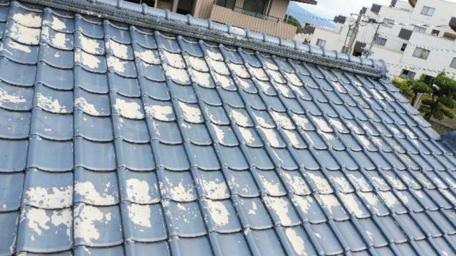 塗膜を剥がした様子