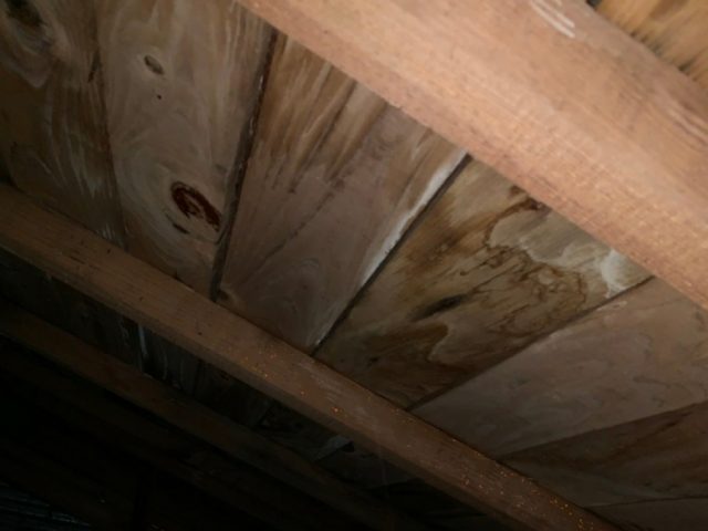 雨漏れ　屋根裏の様子