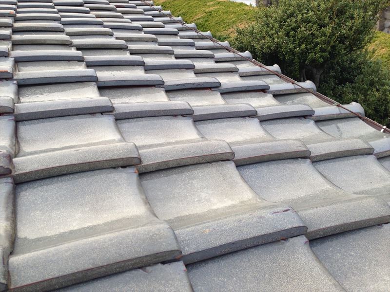 瓦の不具合確認をしています