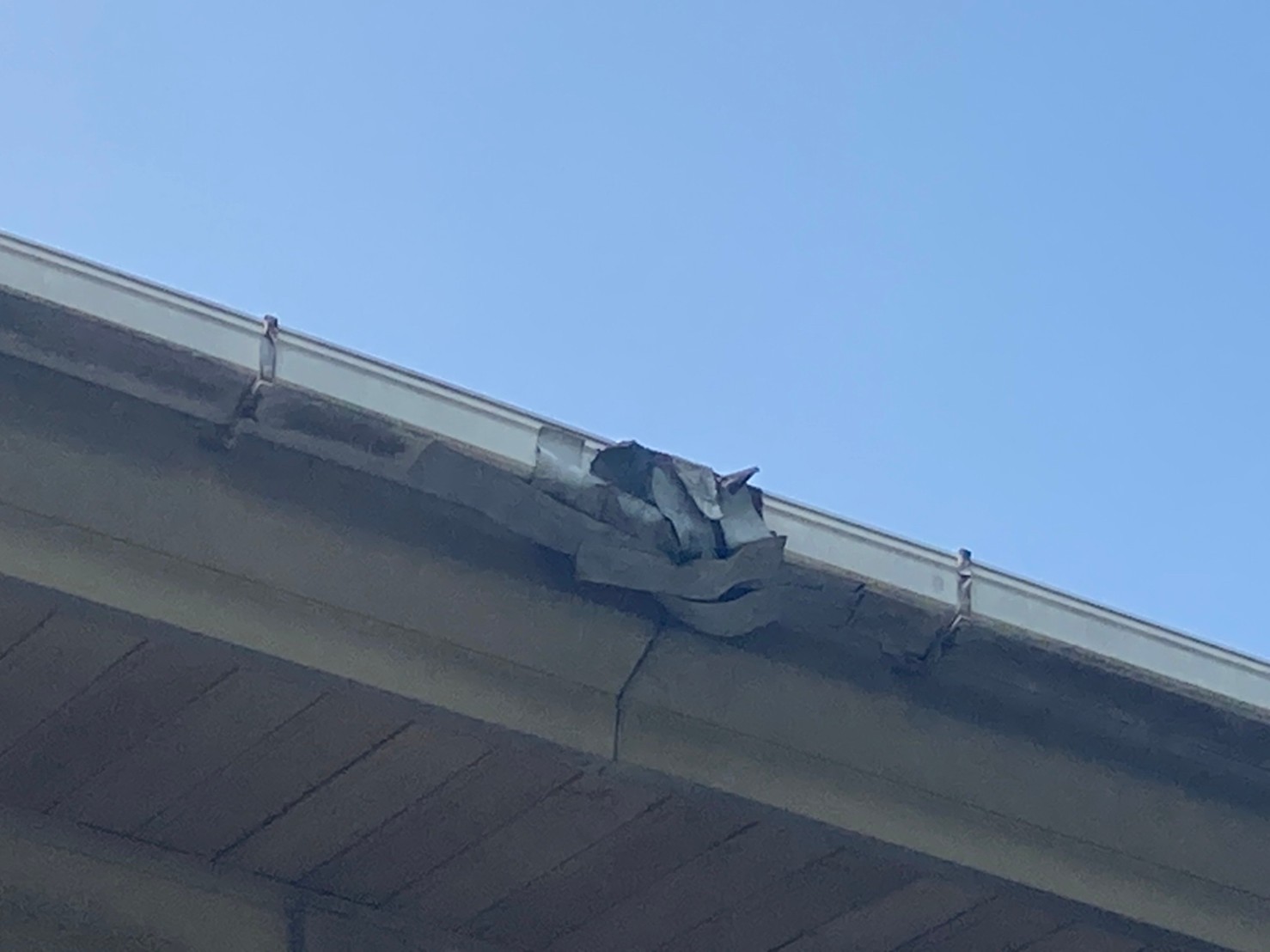 スレート屋根点検　雨樋