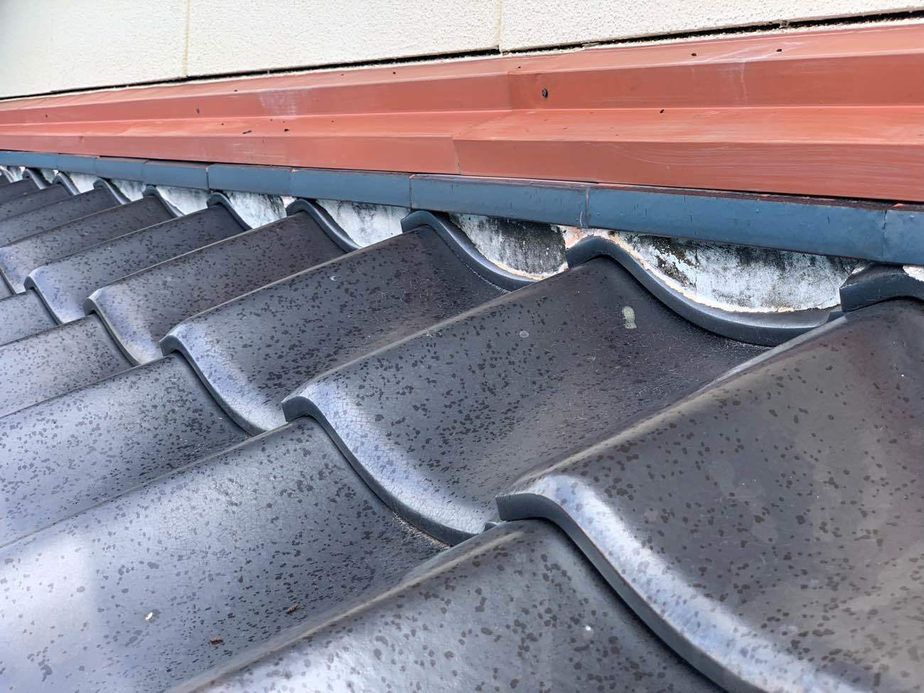 壁際のしっくい工事　施工前