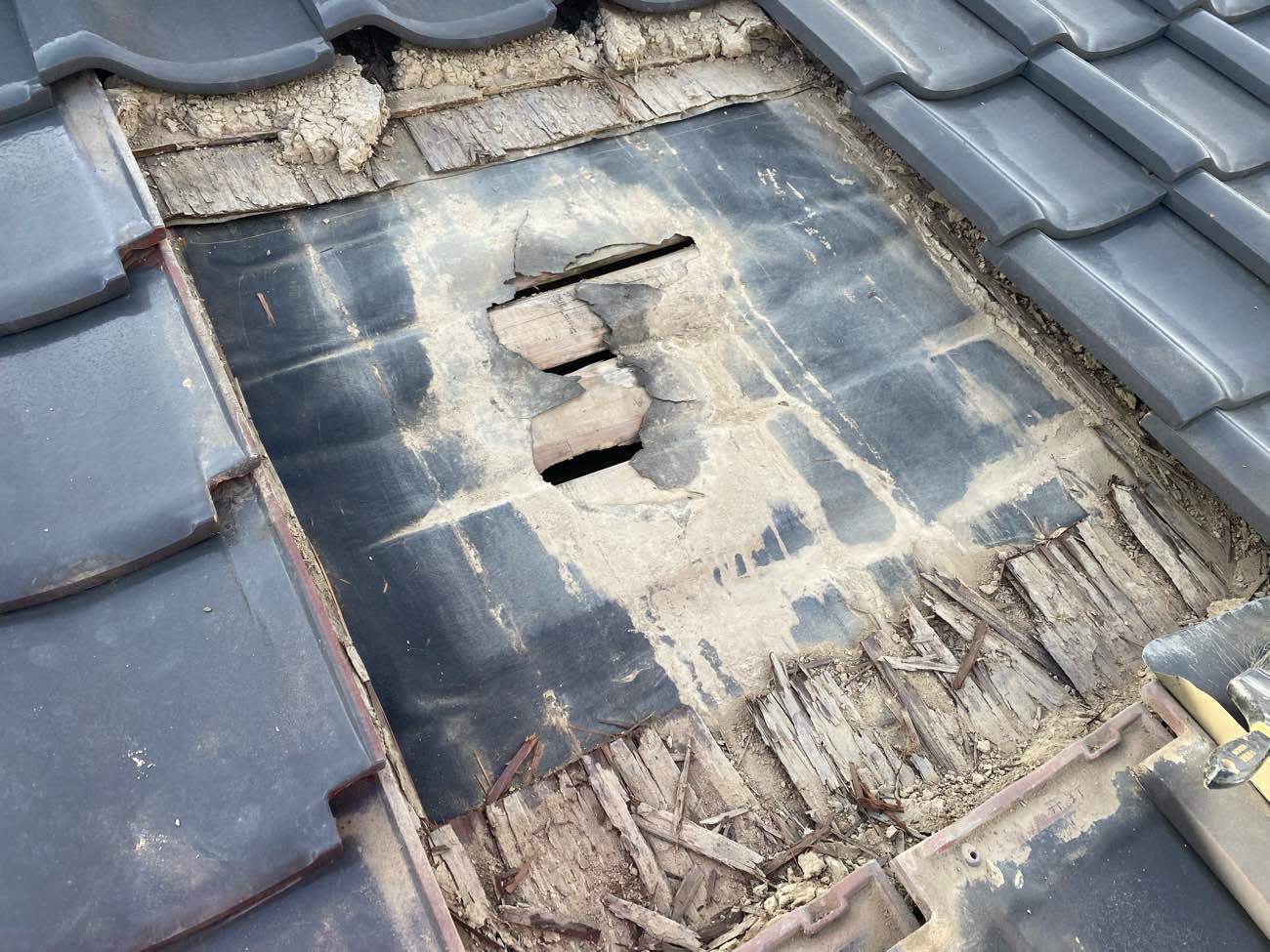 既存葺き土撤去後状況