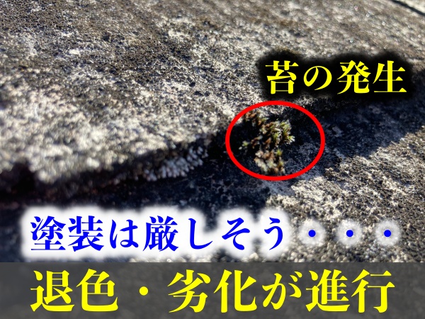 屋根の状態　塗装は難しそうです