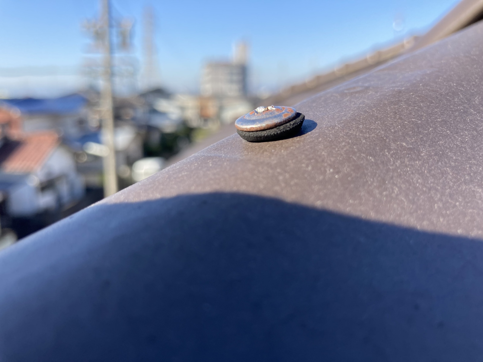 棟のビスの状況