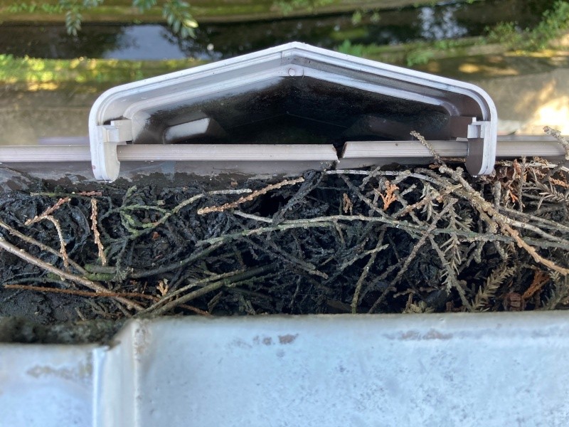 雨樋の詰まり　枯れ葉