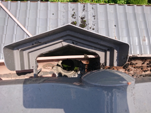 雨樋の詰まり解消