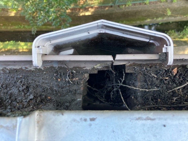 雨樋の詰まり　枯れ葉