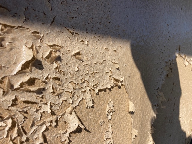 剥離している塗膜の状態