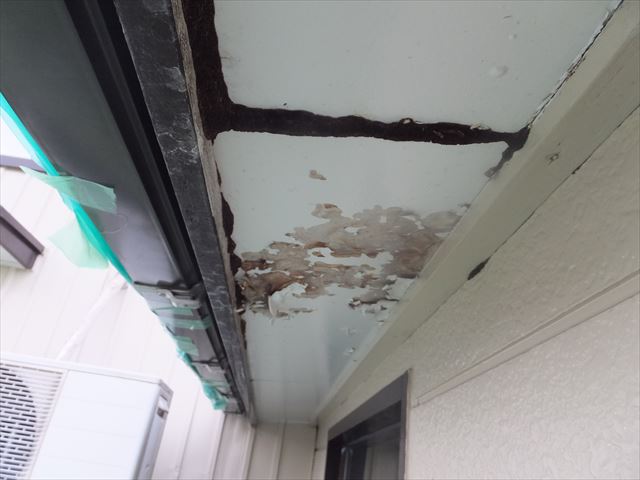 雨漏り箇所