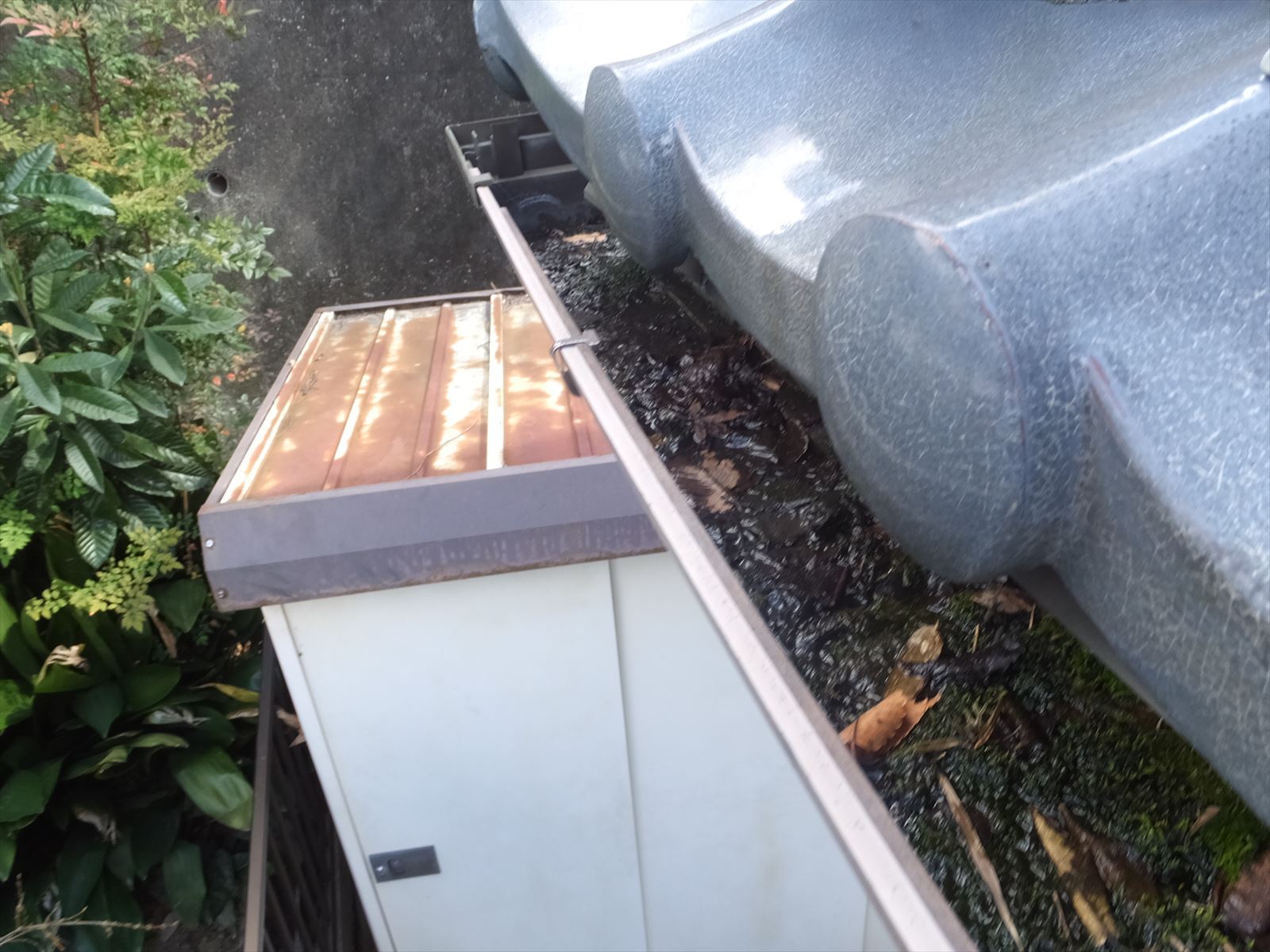 雨樋の中に枯れ葉がたくさん詰まっています