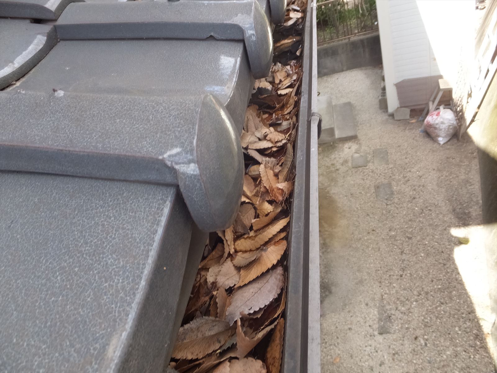 雨樋の中に枯れ葉がたくさん詰まっています