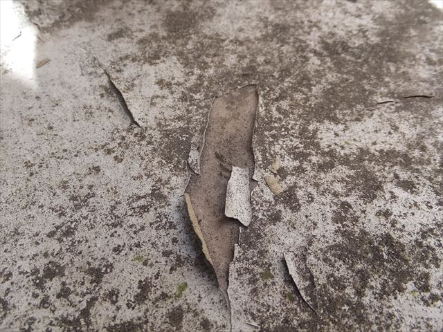 FRP防水の現地調査