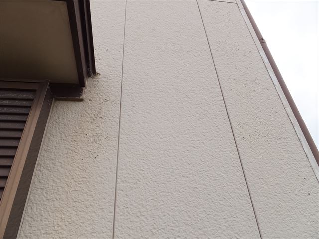 外壁の点検退色の進行