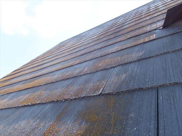 屋根の点検　カラーベスト