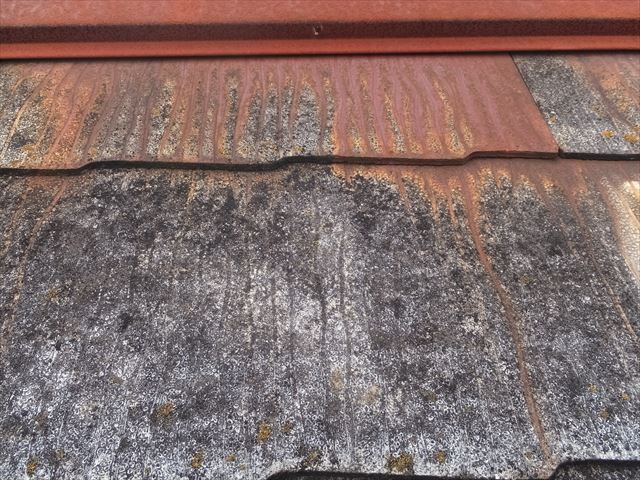 カラーベスト屋根の点検