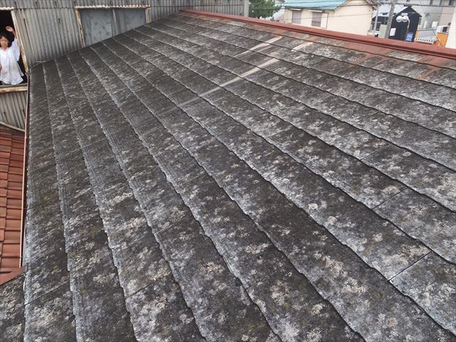 屋根の確認をしています