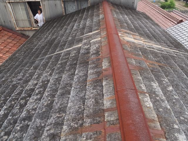 屋根の確認をしています