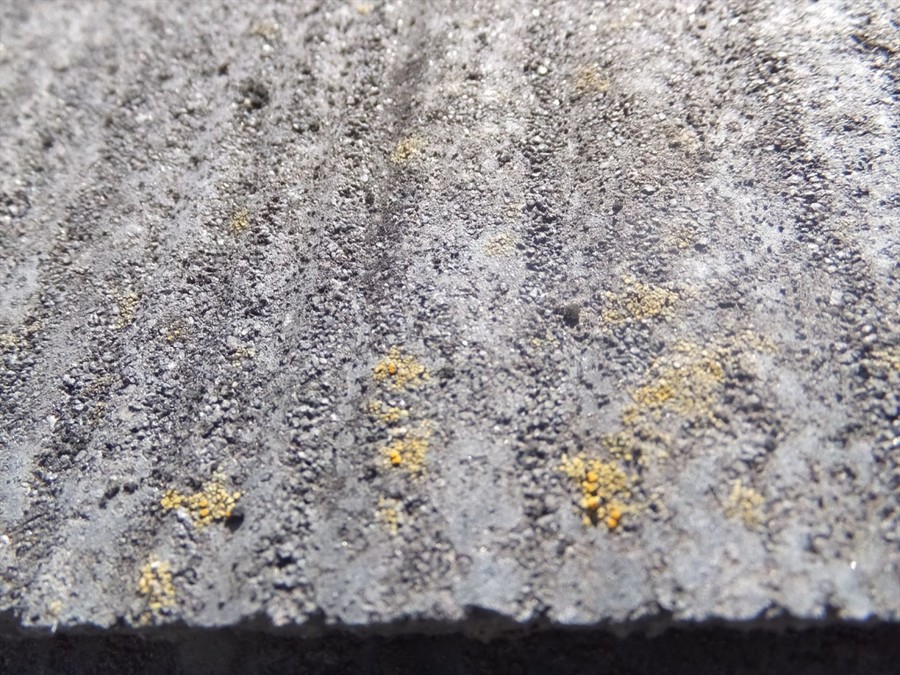 化粧スレート 劣化状況