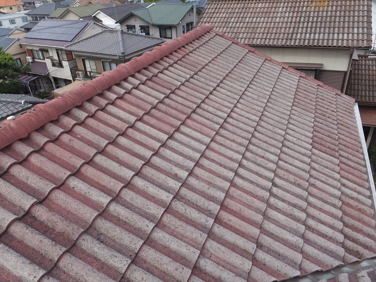 屋根　セメント瓦