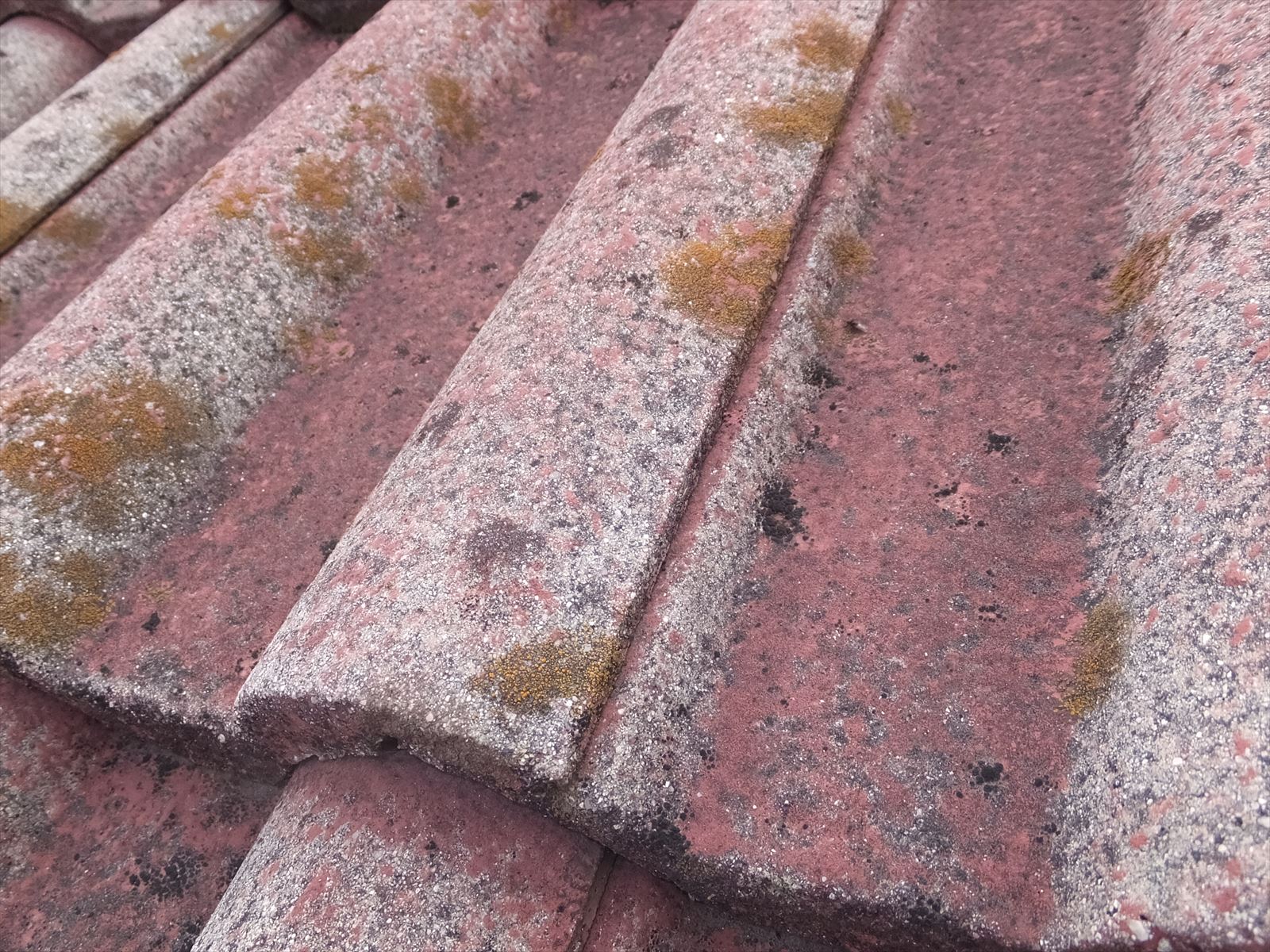 屋根　セメント瓦　劣化状態