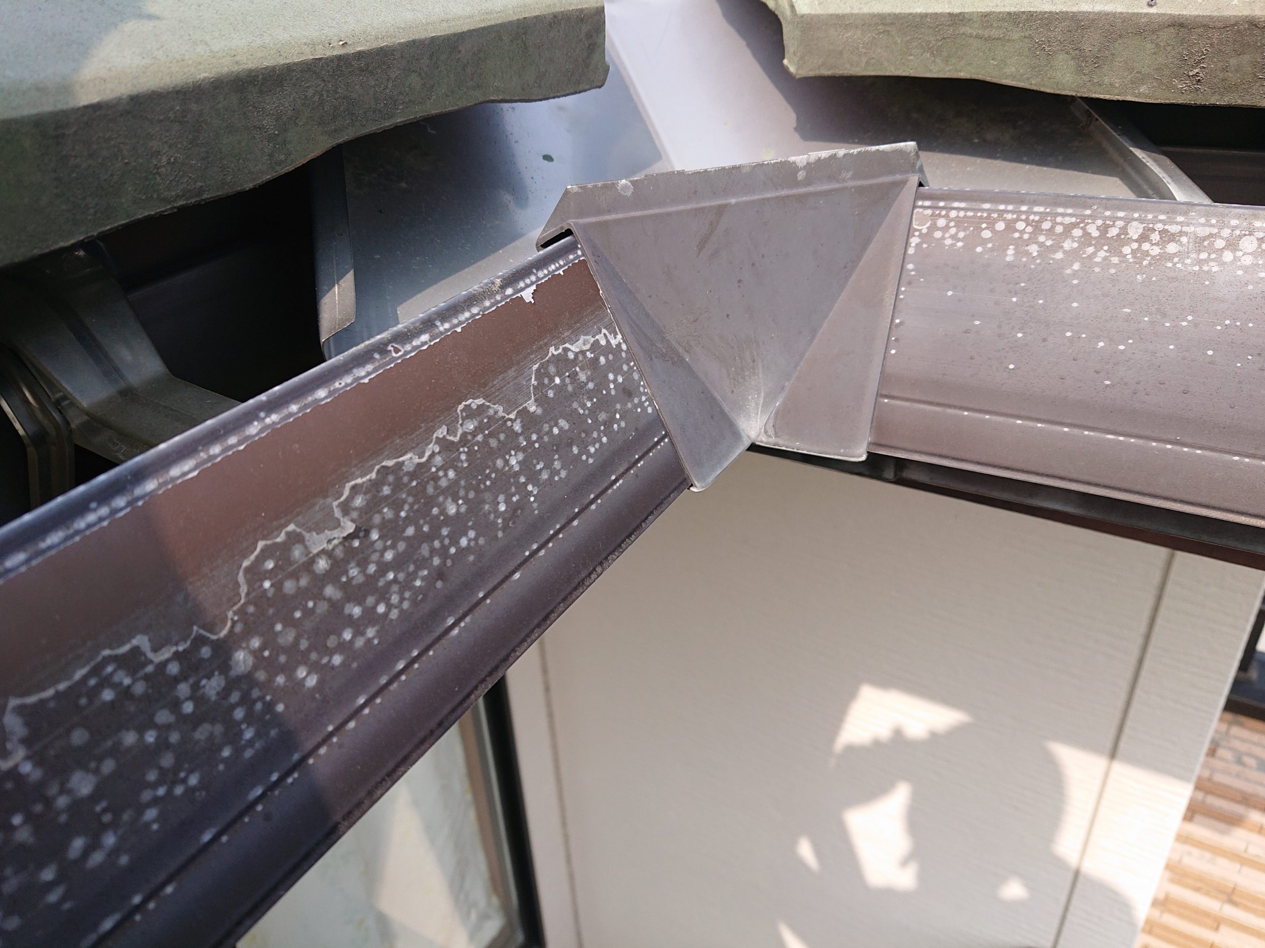 雨樋の確認　状態