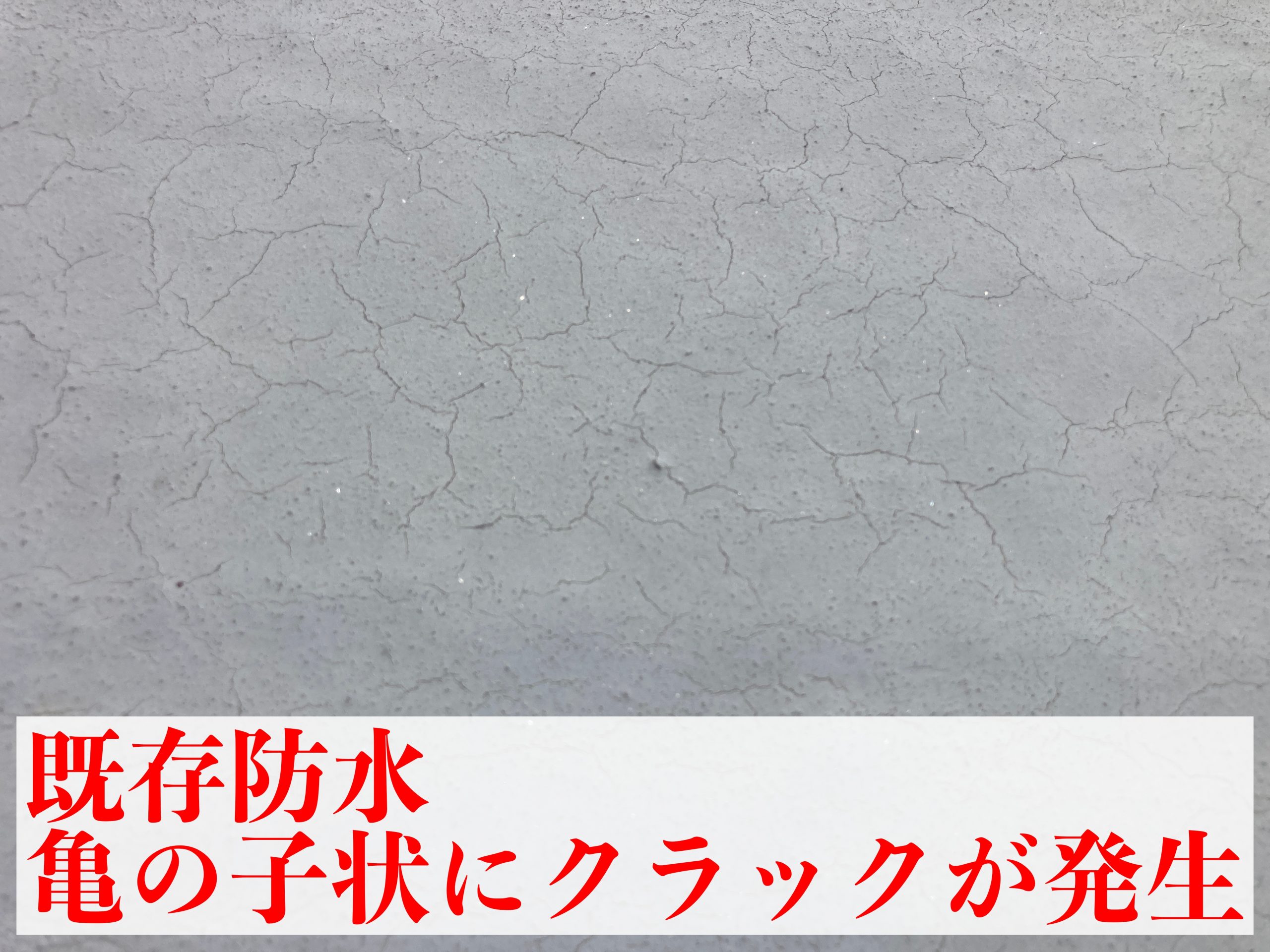 既存防水状況　クラック