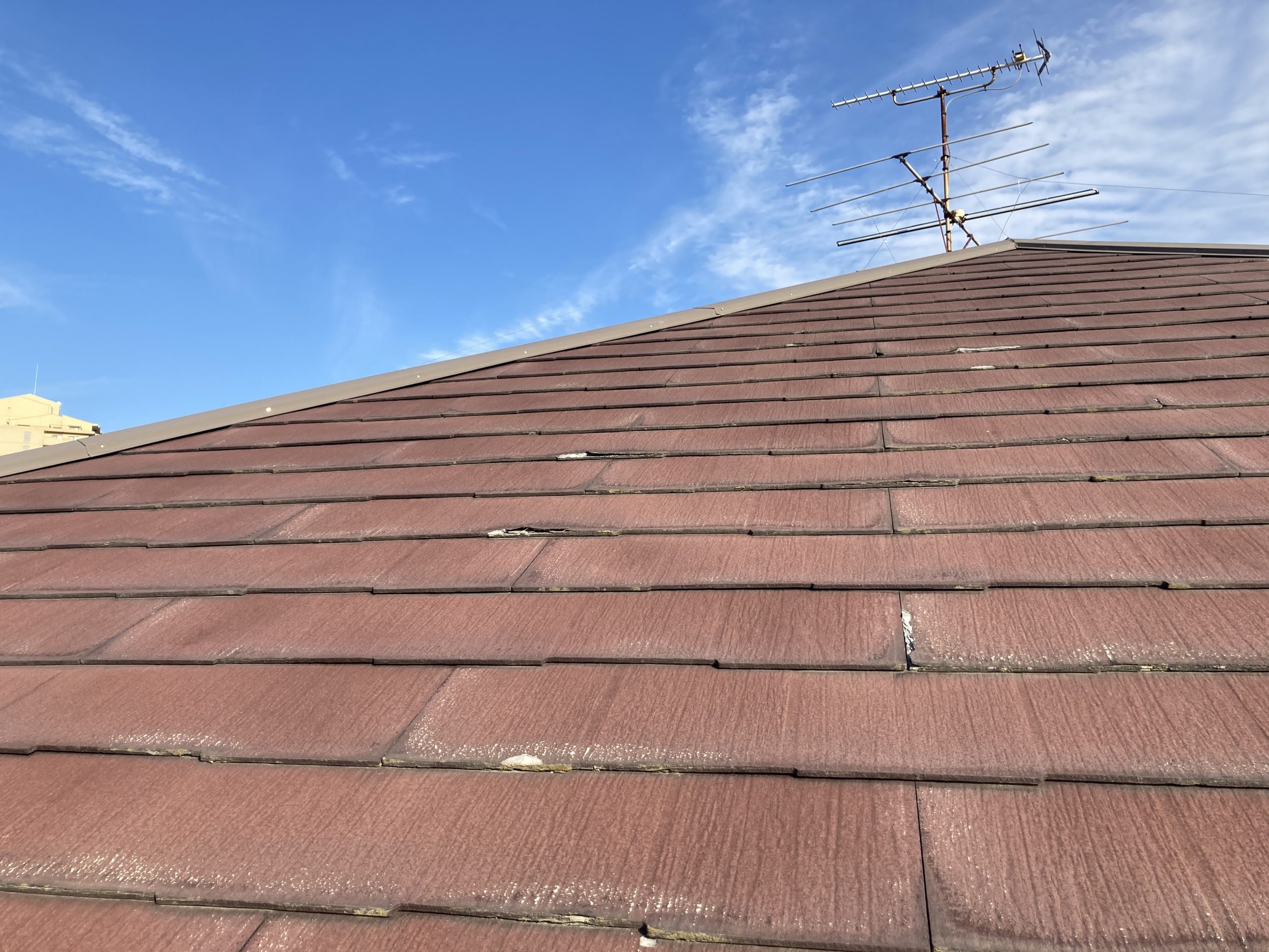 屋根点検　パミール