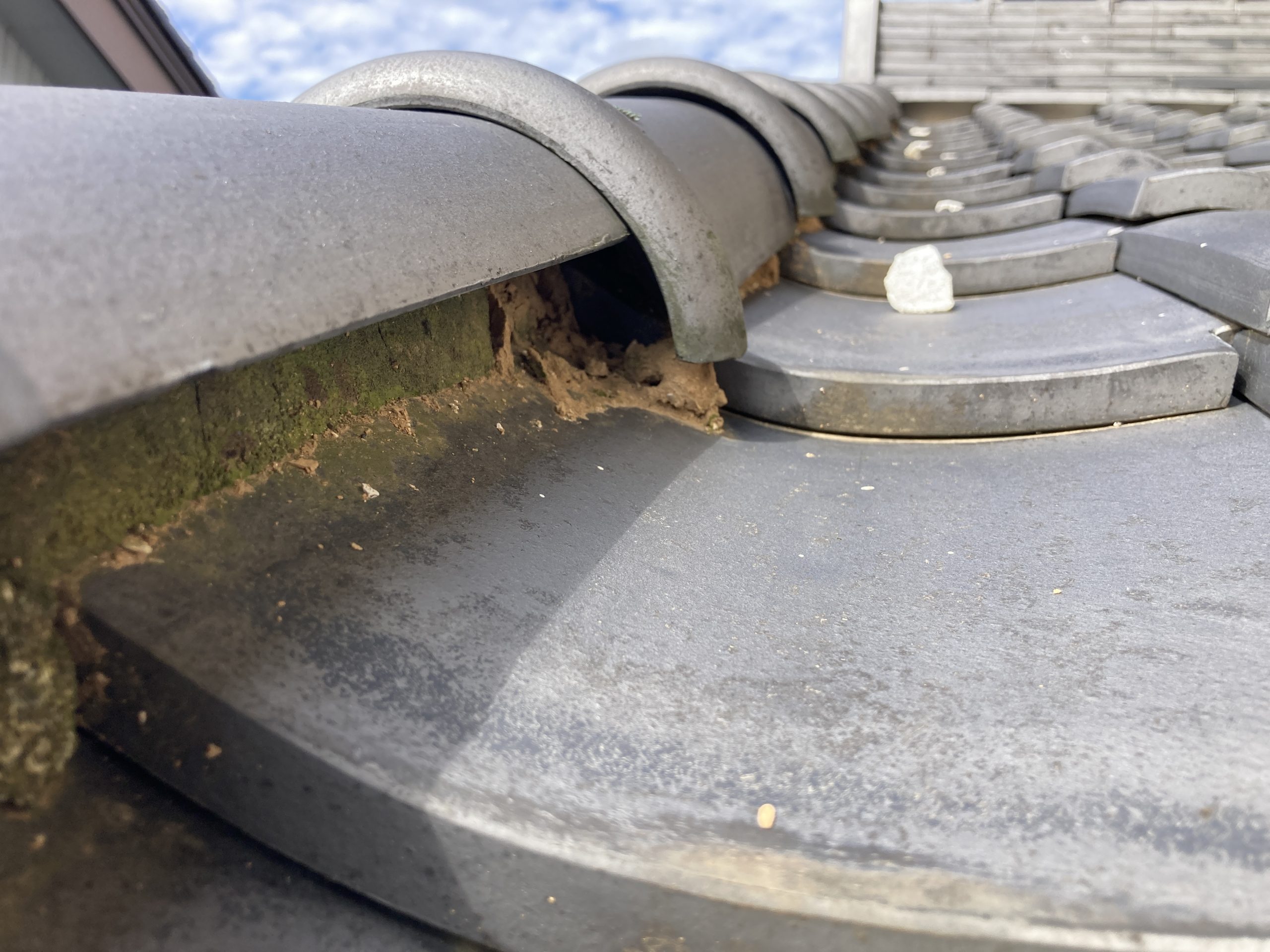 風切丸　漆喰の劣化