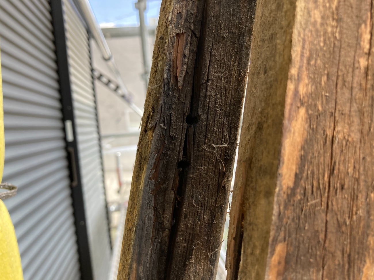 撤去した棟木　腐食　劣化が進んでいます