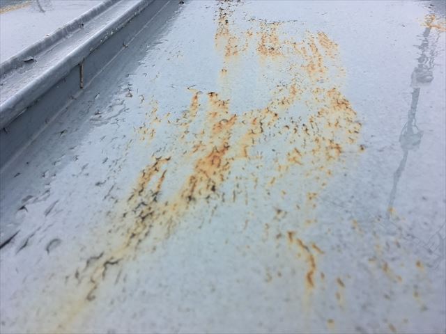 サビの発生