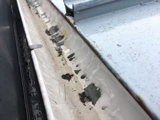 雨樋の状況