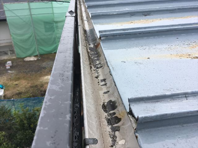 雨樋の状況