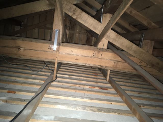 雨漏り確認　屋根裏に上って確認中