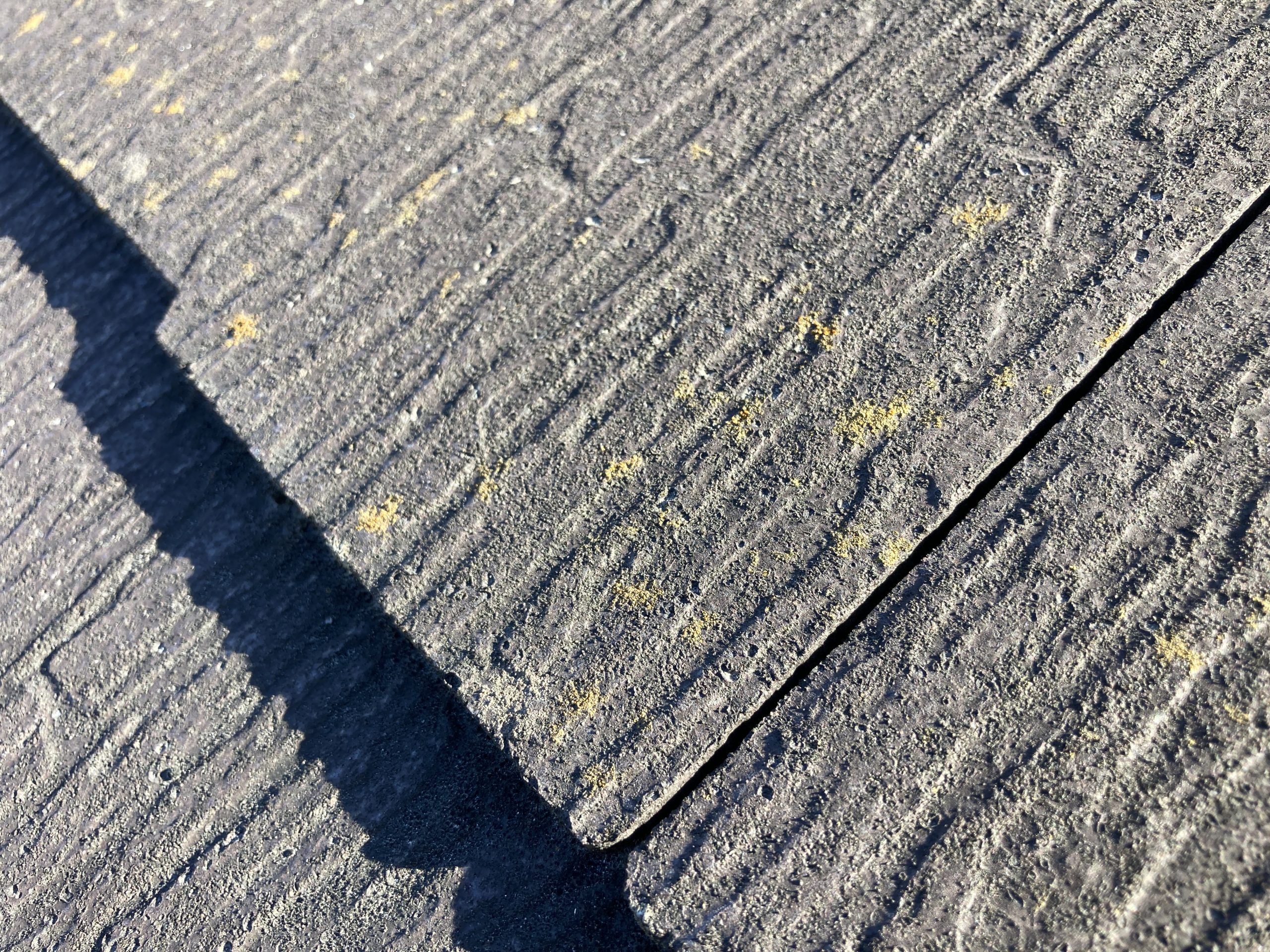 屋根材の退色と黃カビ