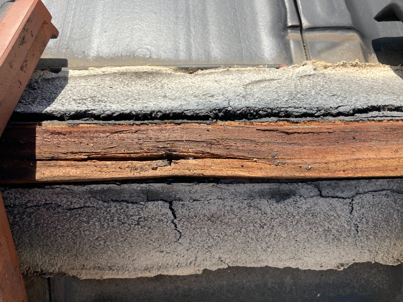 棟木の劣化状態