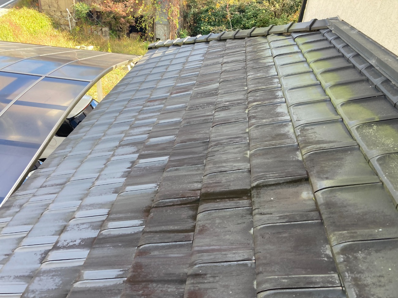 瓦屋根の点検をしました　苔の付着